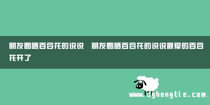 朋友圈晒百合花的说说 朋友圈晒百合花的说说最爱的百合花开了